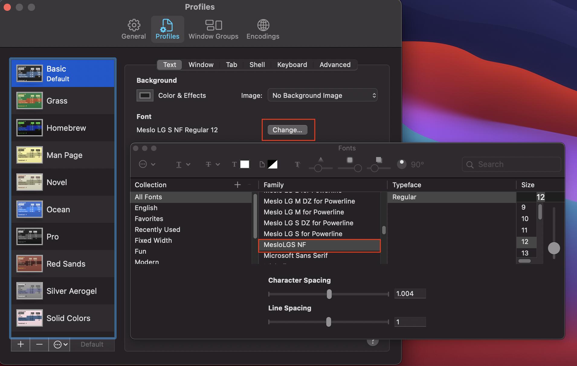 Terminal 偏好設定的 Profiles 分頁,Font 區塊中可以更換字型。